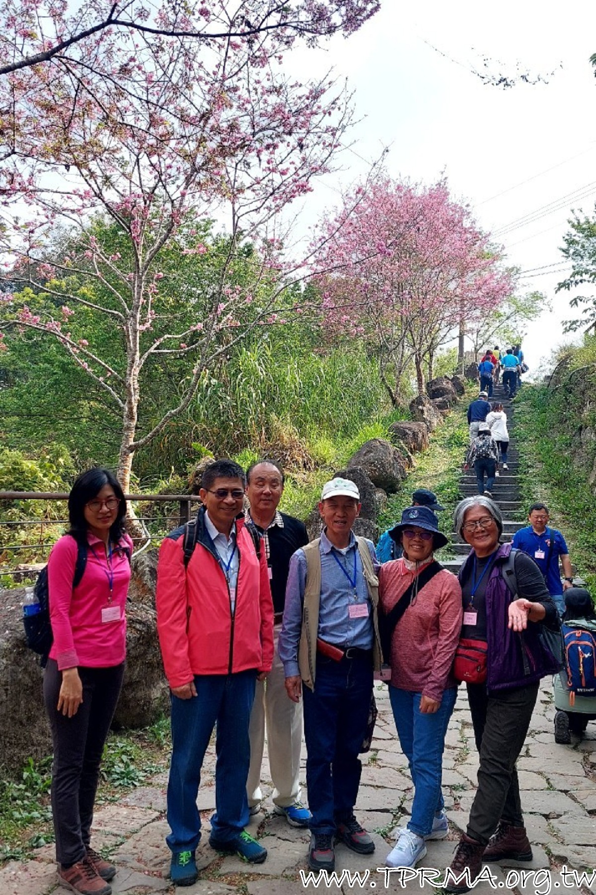 20230317 18阿里山小火車之旅 230323 61